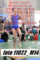 11022_M14-