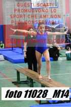 11028_M14-