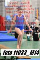 11033_M14-