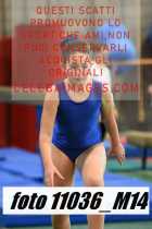 11036_M14-