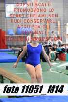 11051_M14-