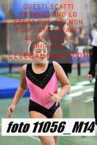 11056_M14-