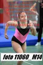 11060_M14-