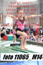 11065_M14-