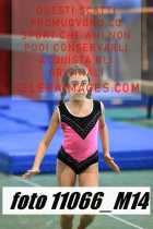 11066_M14-