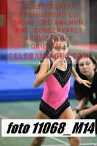 11068_M14-