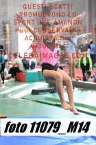 11079_M14-