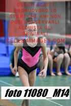 11080_M14-