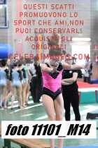 11101_M14-