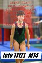 11171_M14-