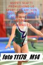 11178_M14-