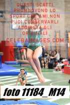 11184_M14-