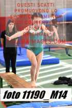 11190_M14-