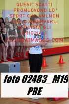 02483_M19-PRE