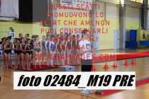 02484_M19-PRE