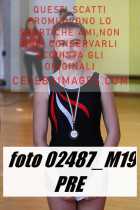02487_M19-PRE