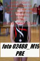 02488_M19-PRE