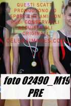 02490_M19-PRE