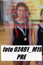 02491_M19-PRE