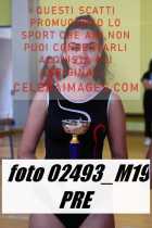 02493_M19-PRE
