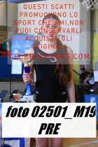 02501_M19-PRE