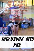 02503_M19-PRE