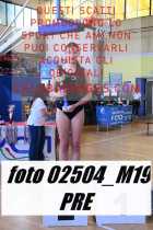02504_M19-PRE