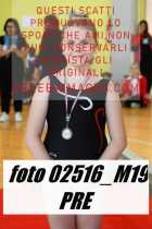 02516_M19-PRE