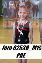 02536_M19-PRE