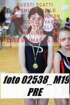 02538_M19-PRE