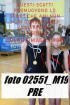 02551_M19-PRE