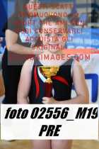 02556_M19-PRE