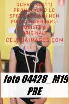 04428_M19-PRE-