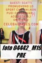 04442_M19-PRE-