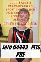 04443_M19-PRE-