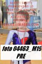 04463_M19-PRE-