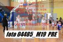 04485_M19-PRE-