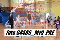 04486_M19-PRE-