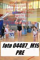 04487_M19-PRE-