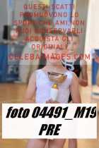 04491_M19-PRE-
