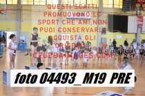 04493_M19-PRE-