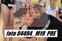 04494_M19-PRE-