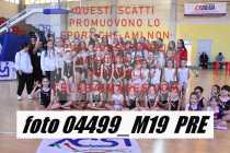 04499_M19-PRE-