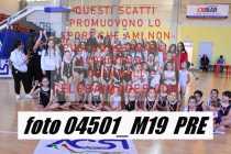 04501_M19-PRE-