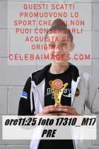 17310_M17-PRE-