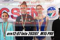 20397_M15-PRE