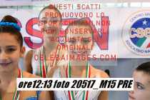 20517_M15-PRE