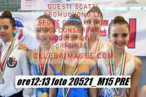 20521_M15-PRE