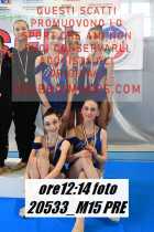 20533_M15-PRE