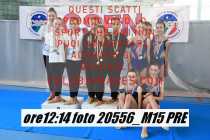 20556_M15-PRE